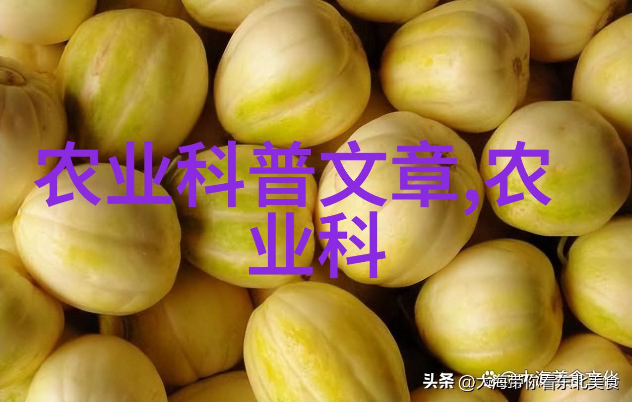 茶叶的文化与艺术探索传统与现代茶艺的融合