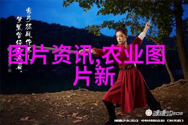 黄精之梦一亩之旅的种子篇章