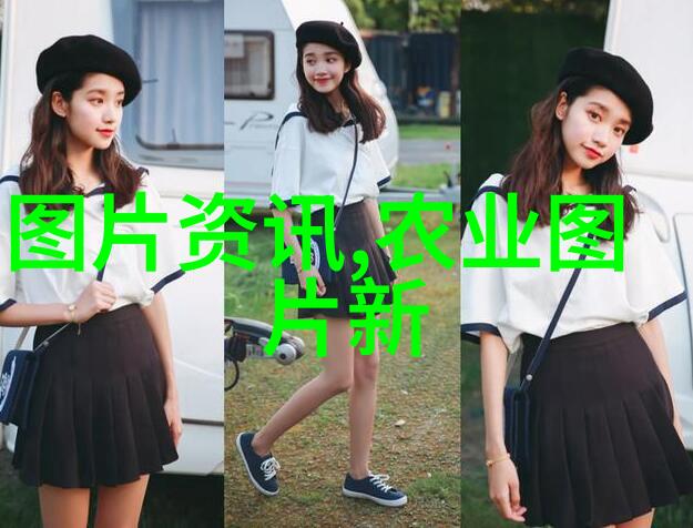 树木价格评估标准之谜公司如何确保公平