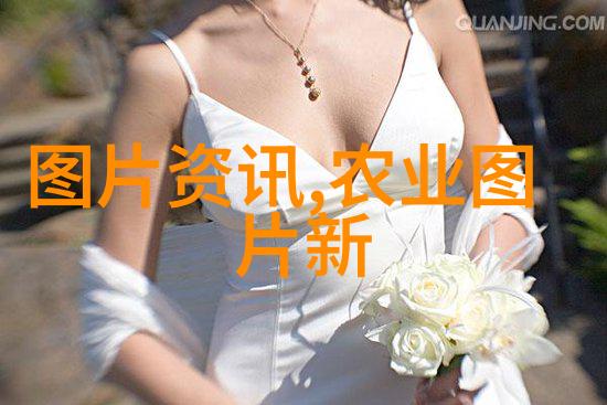 传统食谱中的马齿苋营养健康小菜单分享