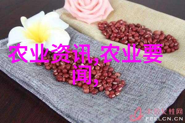 牛羊知识-牧场宝库揭秘牛羊养殖的科学与艺术