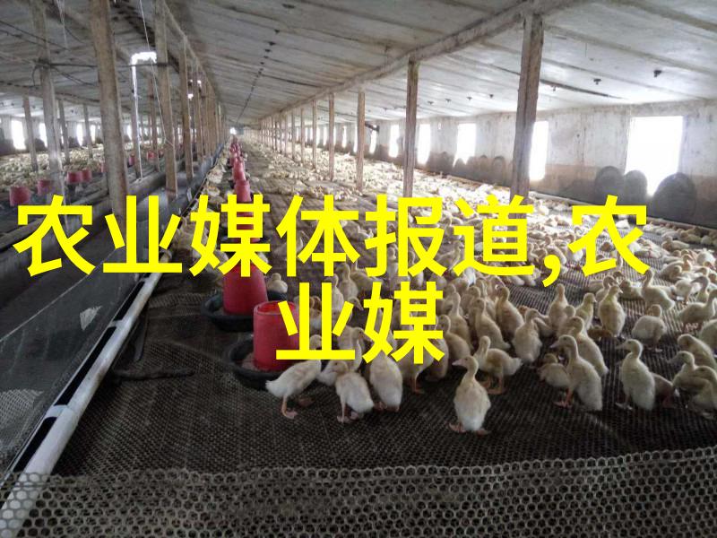 丰富多彩的水果世界探索每一颗珍贵籽粒