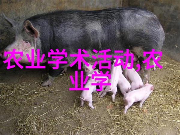 鸡爪槭小巧装饰品12公分的完美收藏