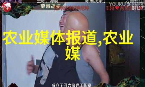 家用玉米棒输送机链条-家中巧妙的食物储存与分发系统
