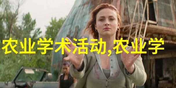 广玉兰之恋金色花瓣的秘密价格