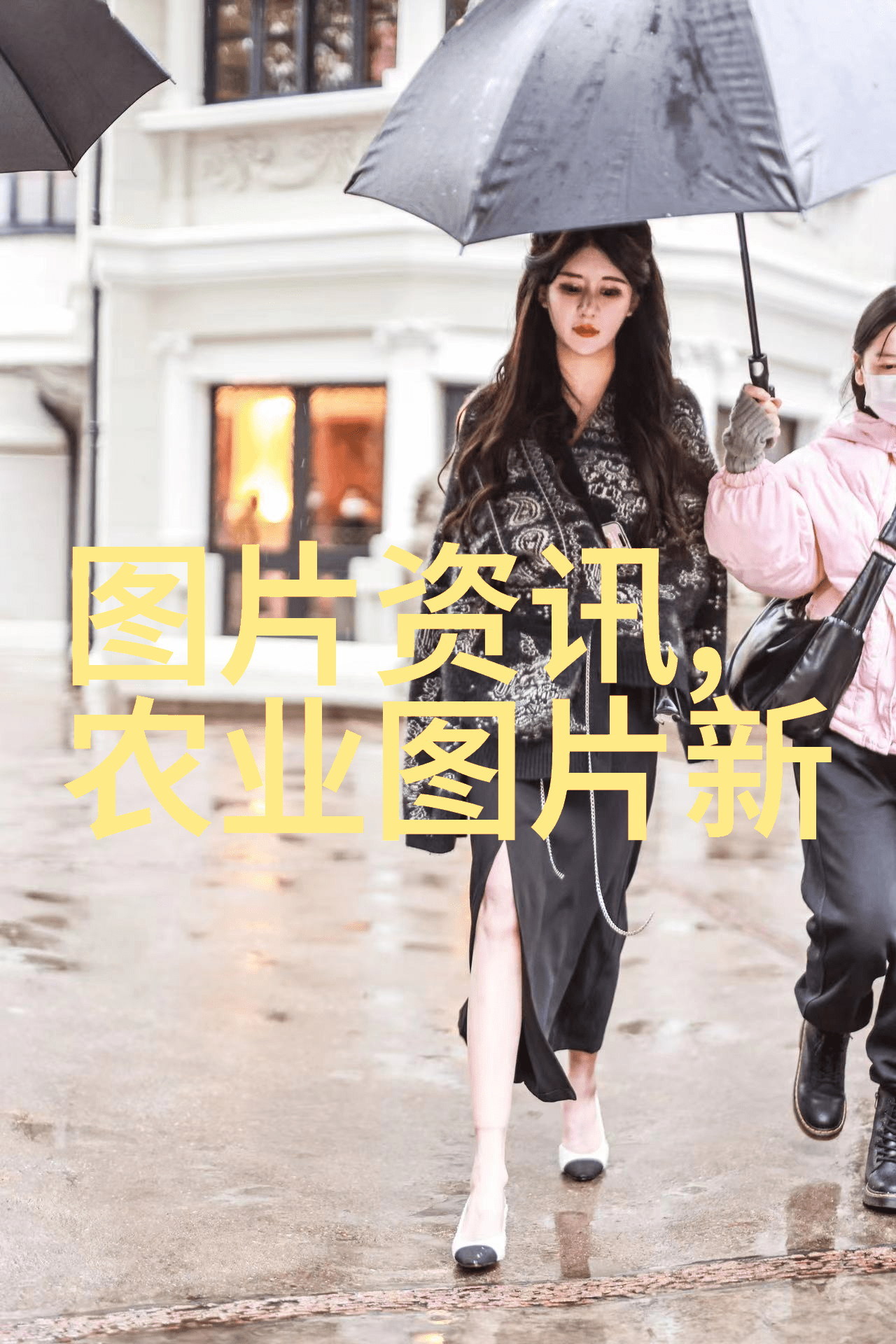 水果种子之谜揭秘那些可以通过种子繁殖的美味佳果