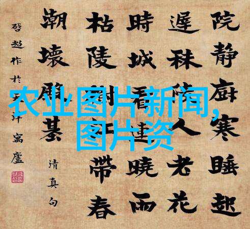 四亿巨资买下一壶茶揭秘中国最贵茶叶背后的故事