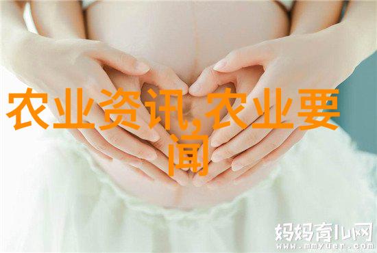 民法典2021全文我来告诉你如何快速读懂这部法律大作