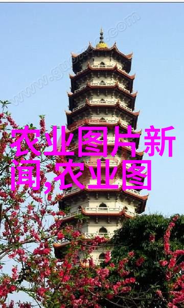 生态循环模式探索无害可持续的大棚养护法则