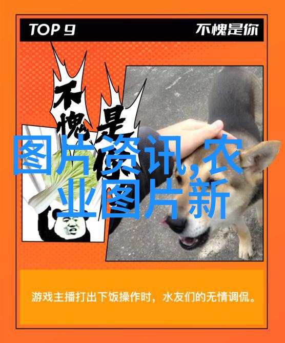 品味茶韵探究茶叶知识300字