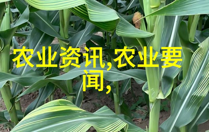 室内种植我是如何在小天地里养出一棵大树的