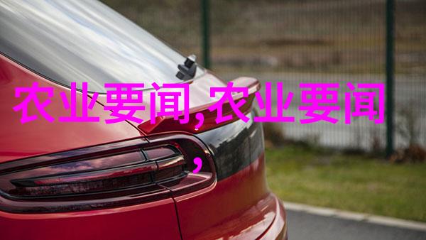 守护自然的艺术家们看懂養蝴技術影片內容要点