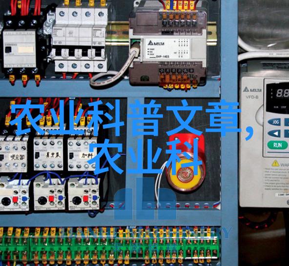 广西竹鼠养殖技术我是如何把小竹鼠从弱苗变成肥壮的