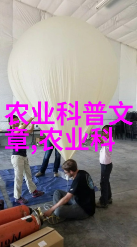 8月到9月的蔬菜种植指南秋季新希望