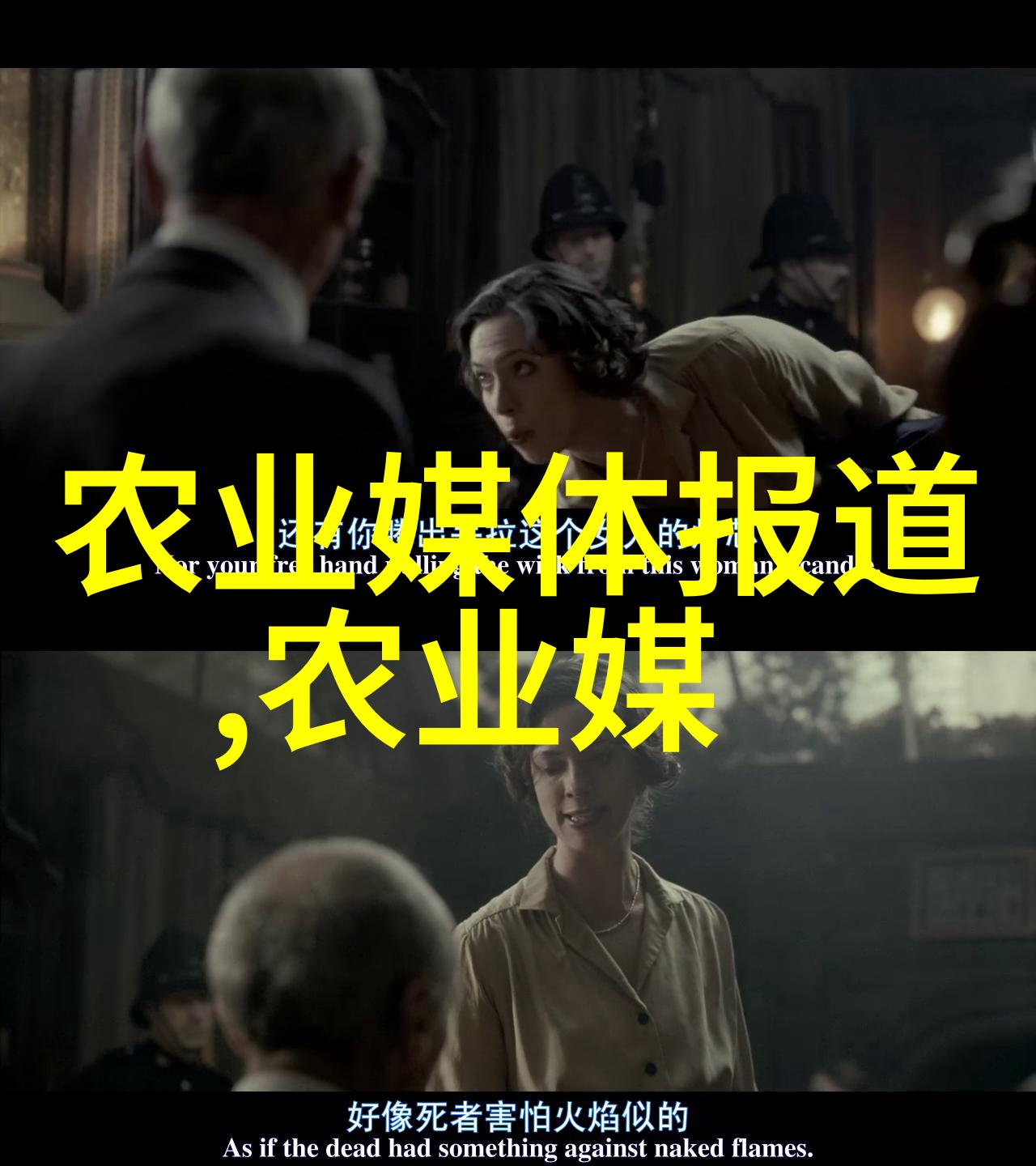 懒人果树一年四季结果-丰硕不需忙探秘懒人果树四季的无尽结实