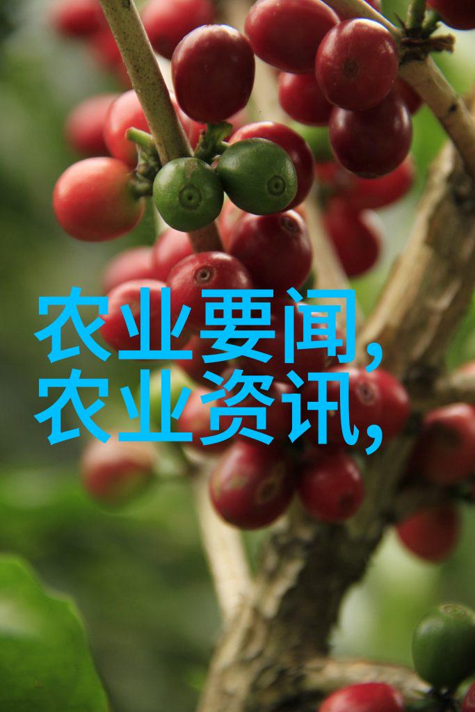 探究阳台最旺宅植物的生长机制与应用前景