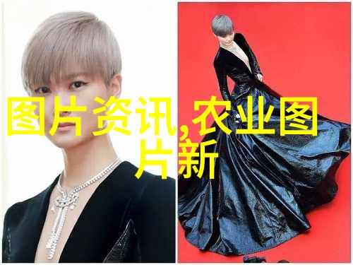 红薯叶的秘密挖掘一份营养丰富的自然宝藏