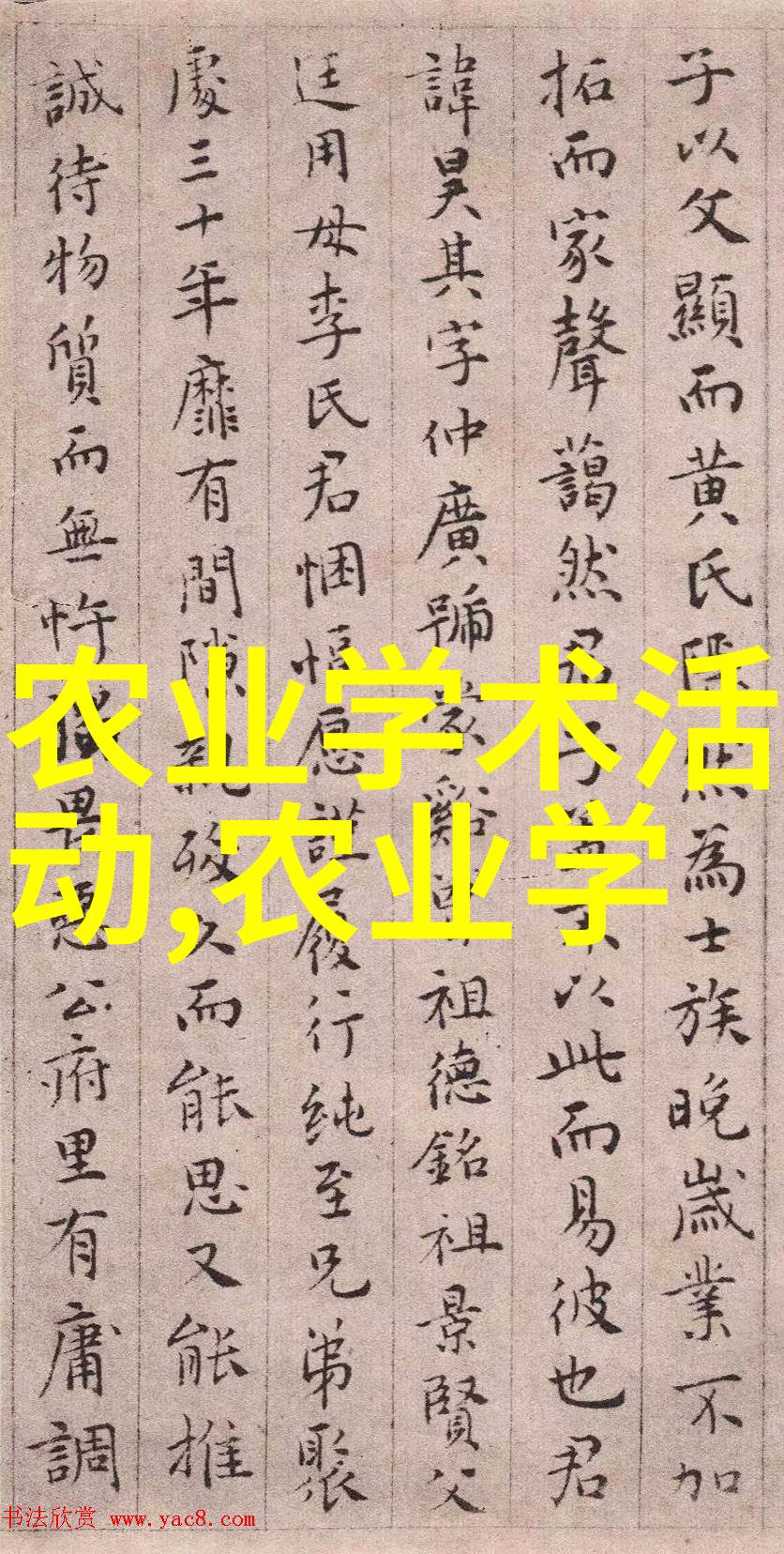 压力机的力量探索高强度制造的秘密