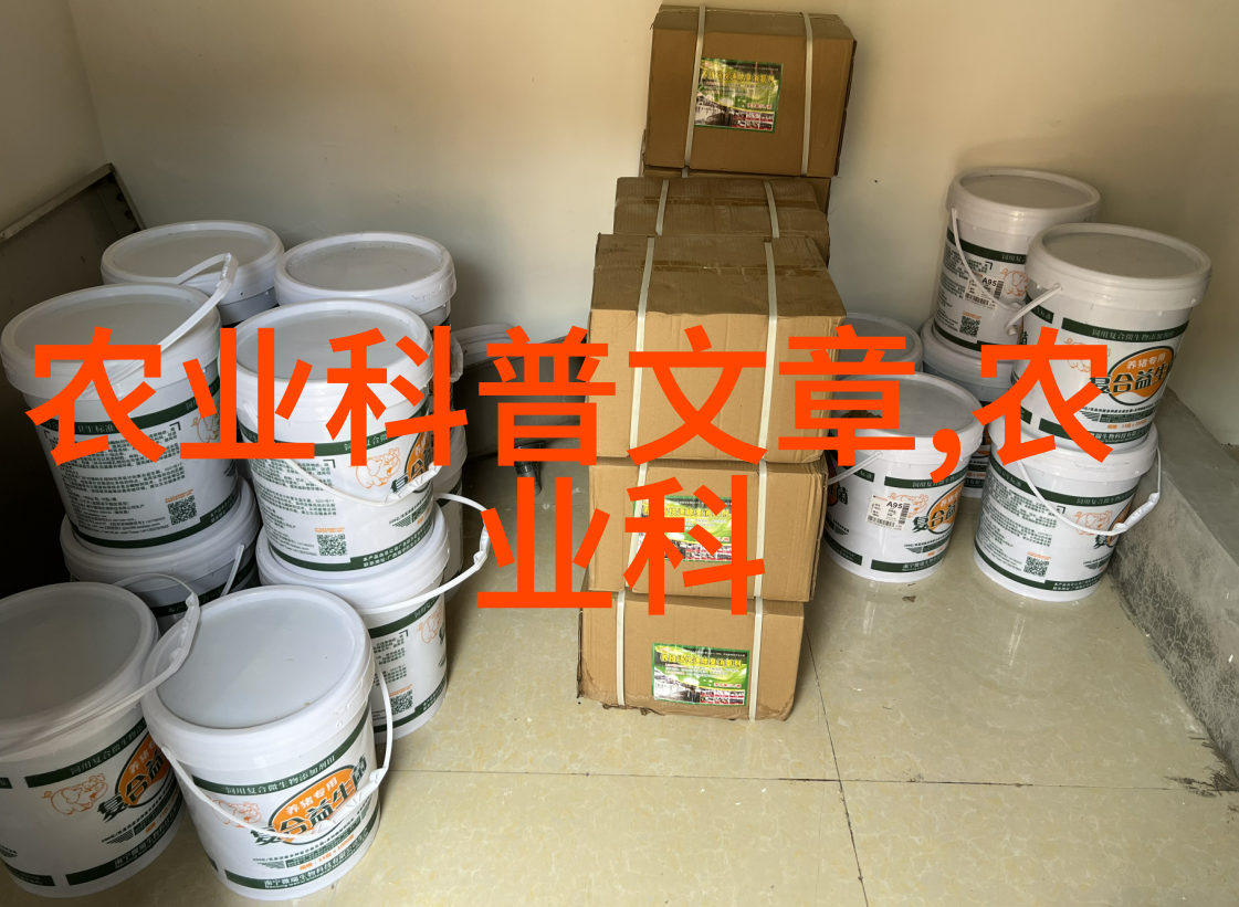 探秘数字乐园揭秘背后的故事与魅力
