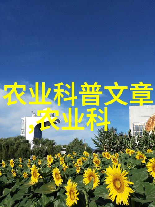 花卉植物技术盆栽长寿花的施肥指南