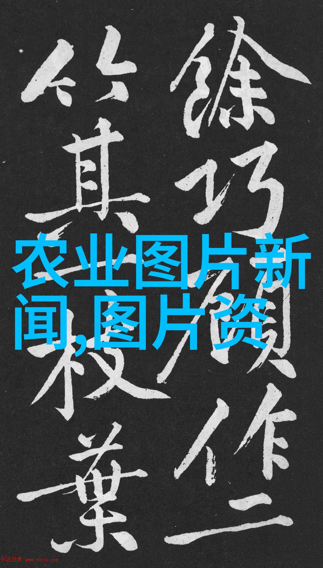 艺术与生命 四季开花植被如何融入我们的艺术创作以及生活方式中