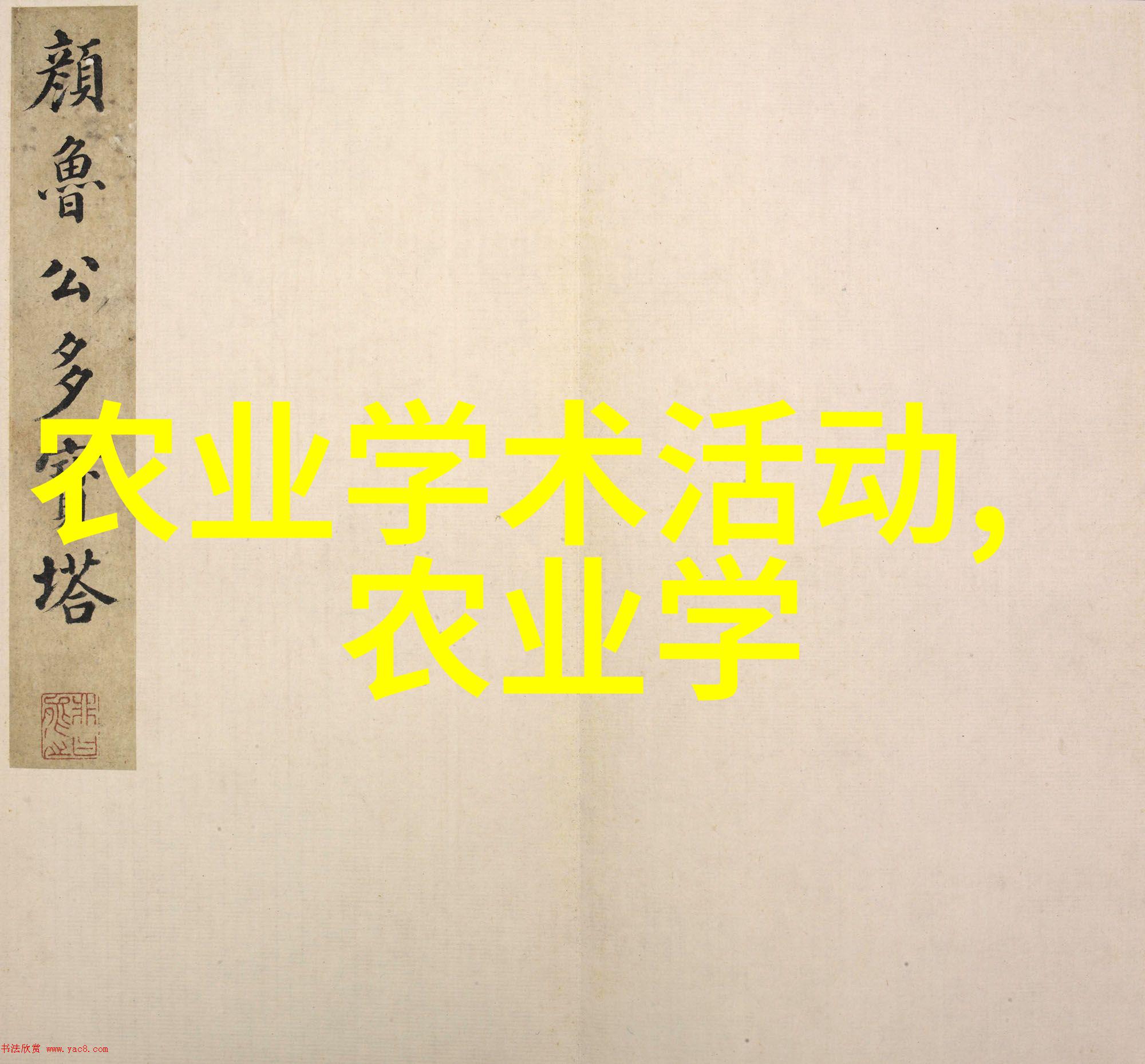 温婉时尚女性茶饮之选