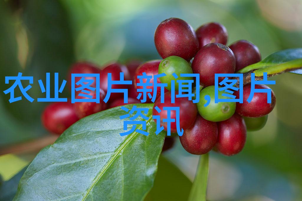农业学术交流_中国学术期刊网首页论文发表中国学术期刊网首页_百度学术与谷歌学术