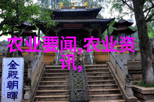 大规模承包土地种植粮食赚钱吗我是怎么通过大规模承包土地种粮发财的
