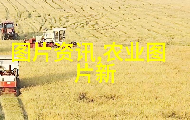 品味时光揭秘茶叶的奇妙组合与健康益处