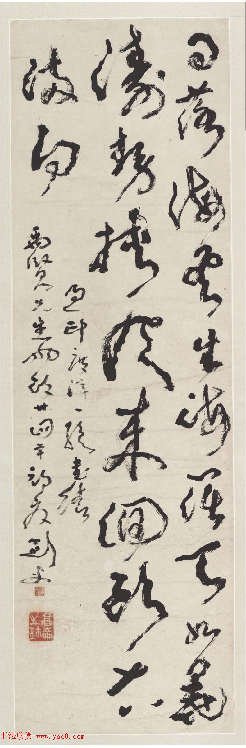 四大珍贵中药材一斤达40万药坛新贵争风头