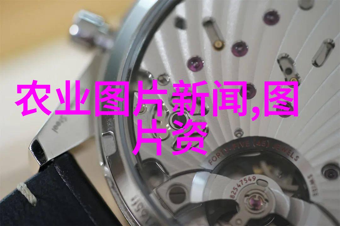 蜂起风水养蜂的妙趣横生与忌讳故事