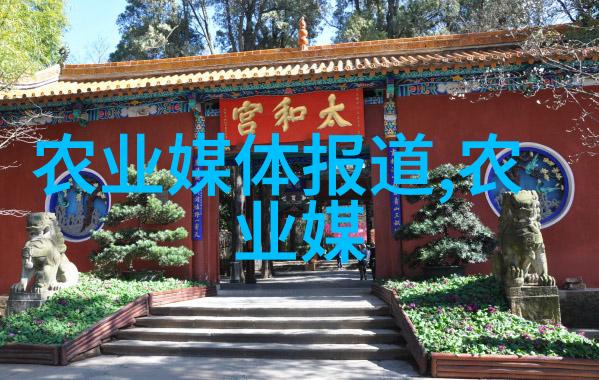 十寸玉兰之谜背后的花钱秘密