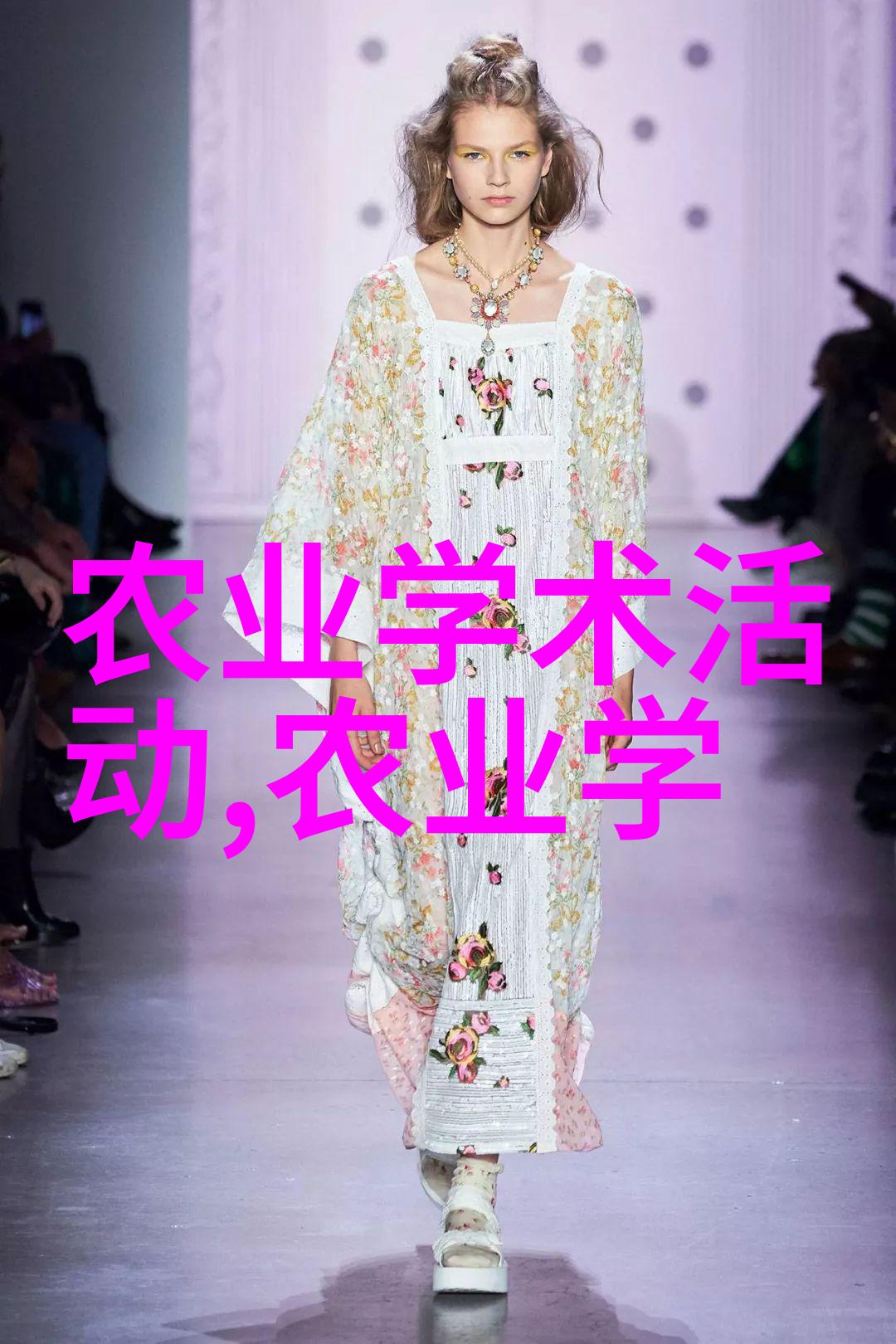 蟾蜍养殖技巧提高成功率的关键要素