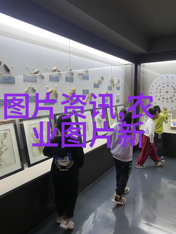 菌类菜谱我是如何用超级简单的方法把家里的食物变成美味菌炖的