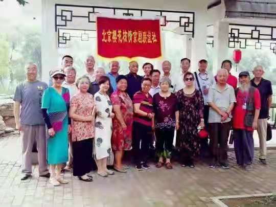 限时优惠 抓住春天一起种植梦想中的苹果林吧