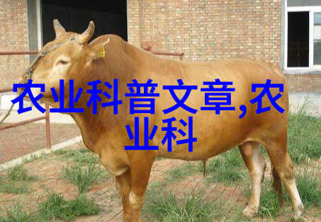 农村种植什么最好-丰收指南揭秘最适合农村的高效作物