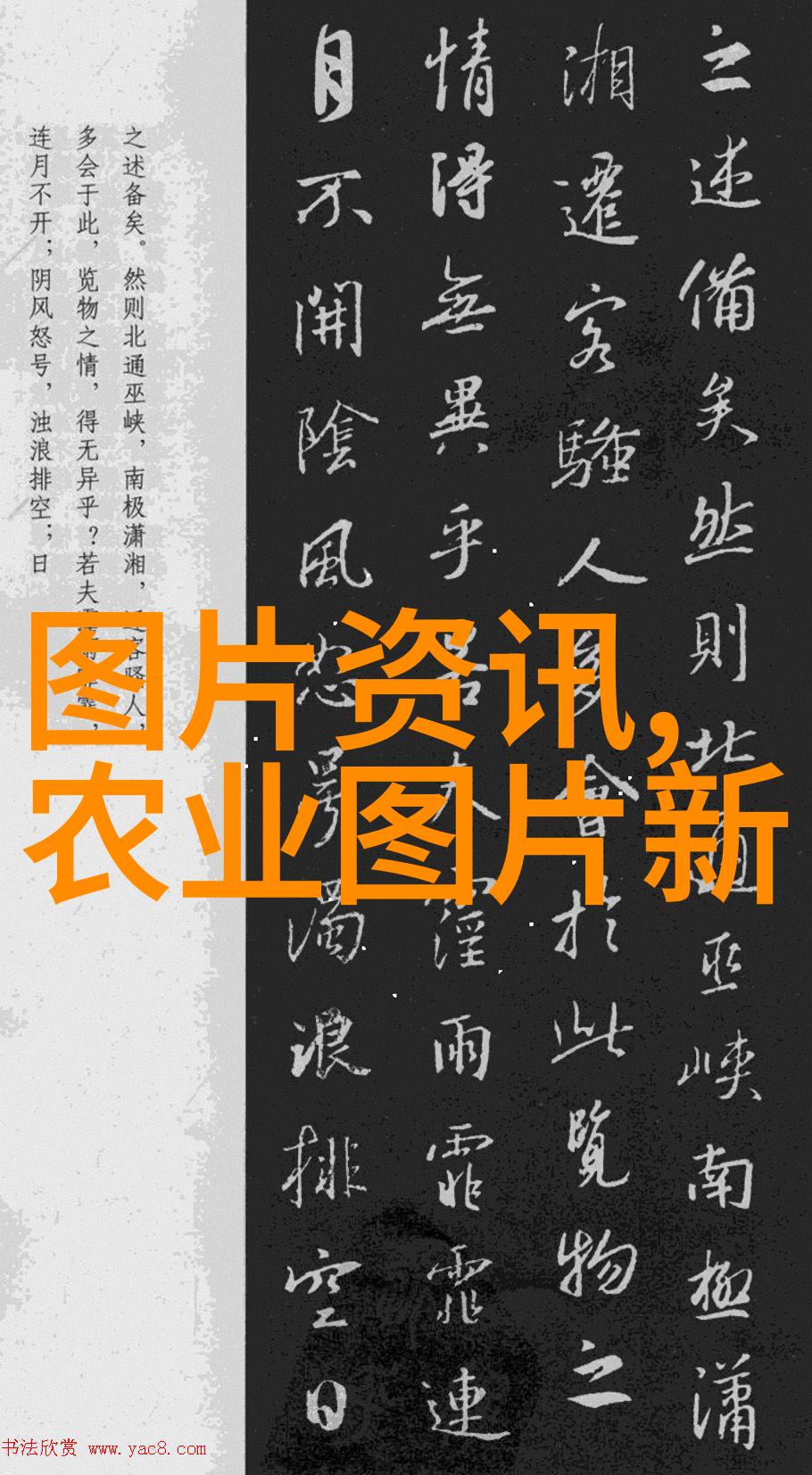 陕西种植什么药材最赚钱-黄金滩头探秘陕西高收获的药材宝地