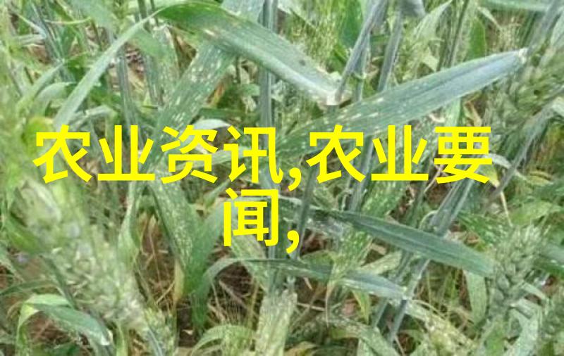 农机市场期刊机械革命的田野篇章