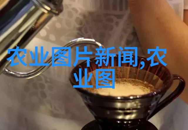 深入浅出政策解读规定的精髓与实践应用