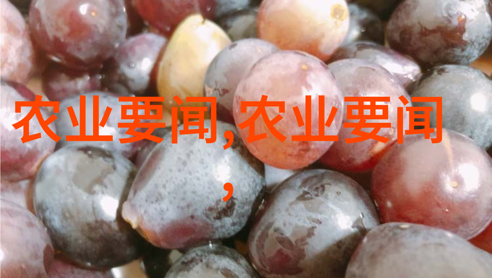 简约招工从零到英雄的逆袭