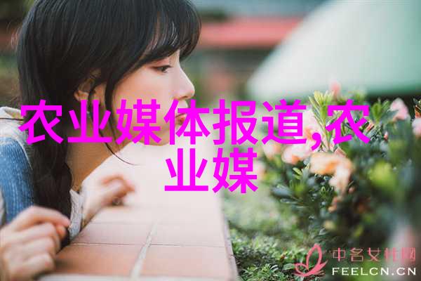 白茶品种排名前十品鉴中国高端茶文化