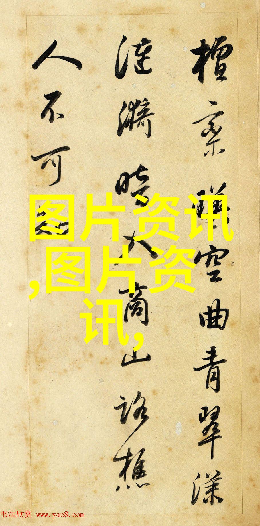 养殖珍贵宠物如爱情鸟孔雀鹦鹉等赚钱