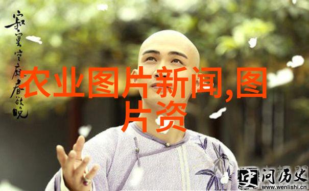 创意家居绿化家庭阳台种菜盆设计要点解析