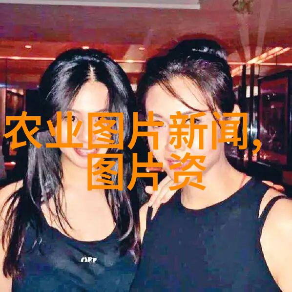 蜜蜂养殖热潮一窝蜜蜂的市场价格探秘