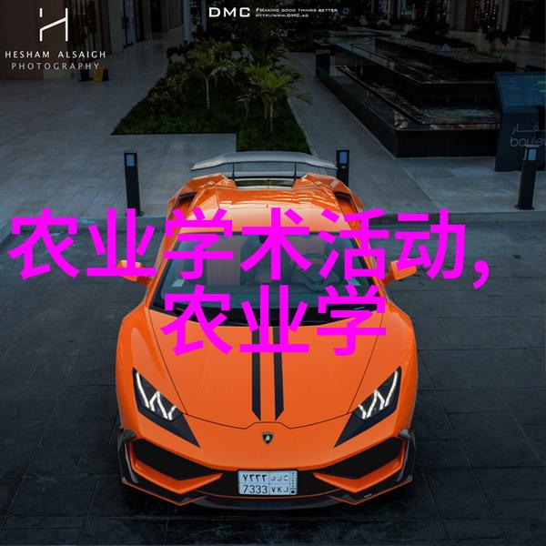 枣树叶有什么特有的药用价值吗