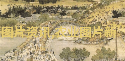 茶韵悠扬探索茶文化与茶道精神的深度之旅