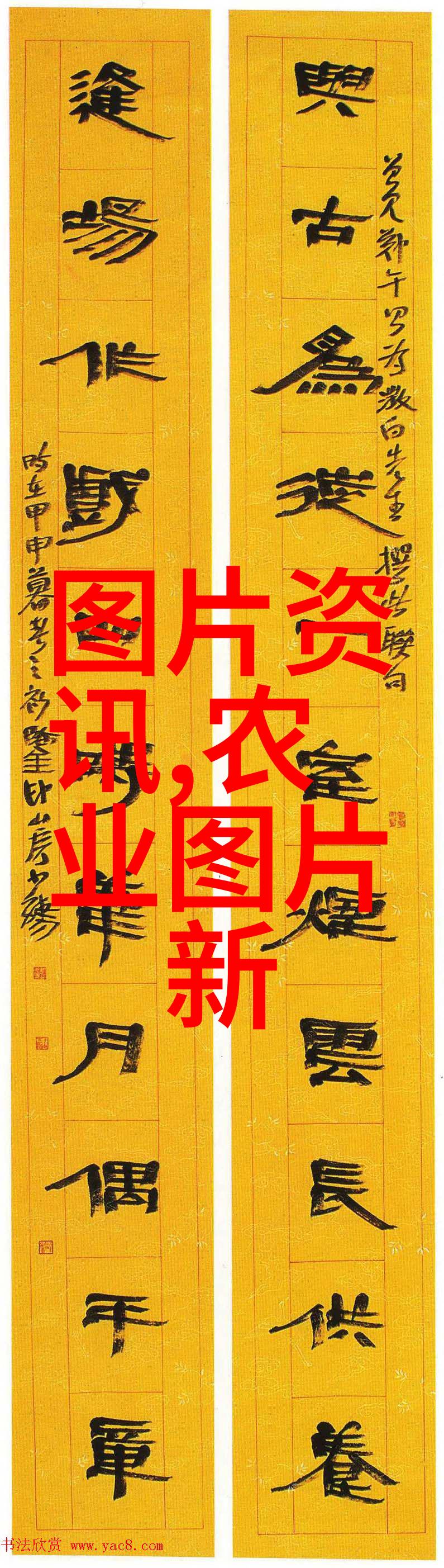 养殖业大爆笑从鸡飞到猪跑动物们的闹剧场