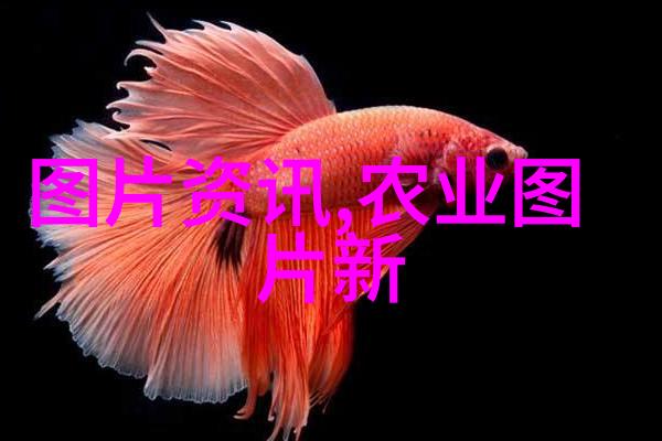 梨树防御冻害危害实用技术