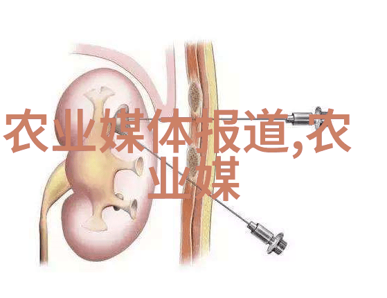 阳台上的甜蜜果实好养活的阳台水果种植经验