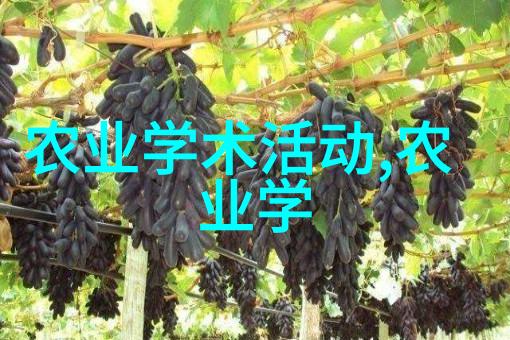 适当用姜喂猪功效多多